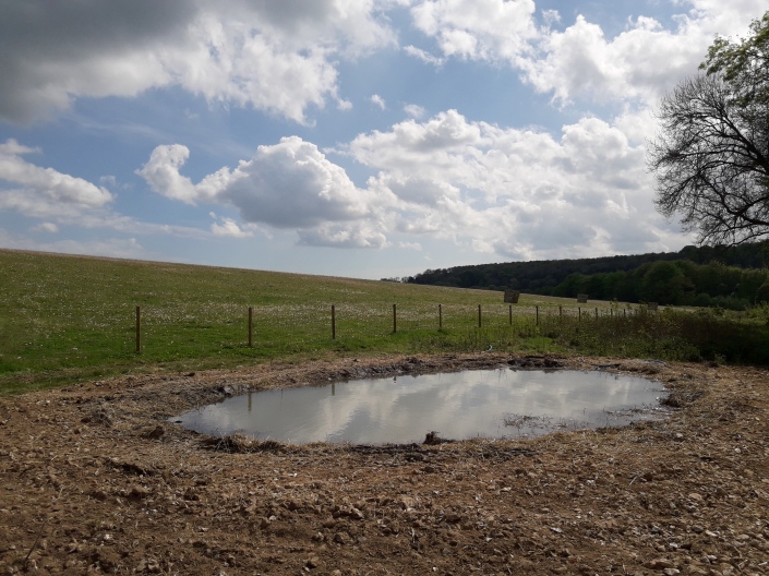A new wildlife pond for Northwood